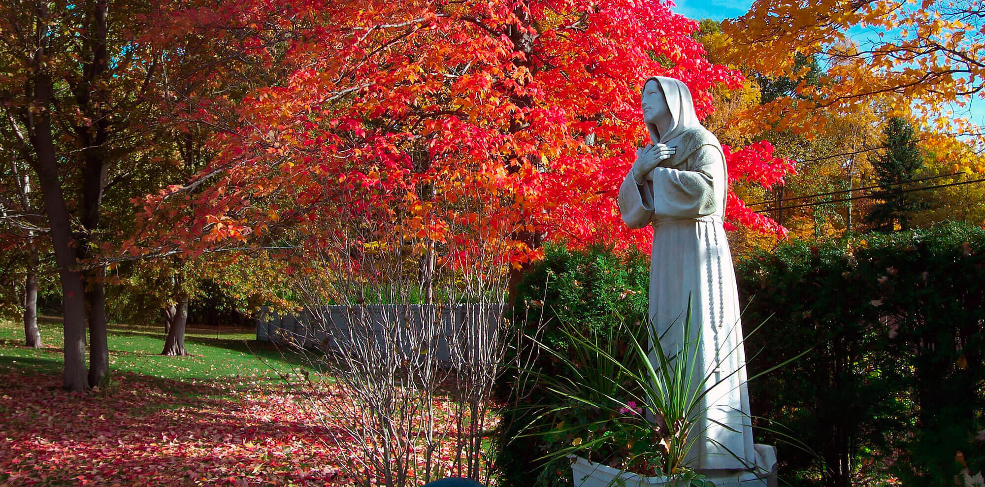 St. Francis of Assisi statue