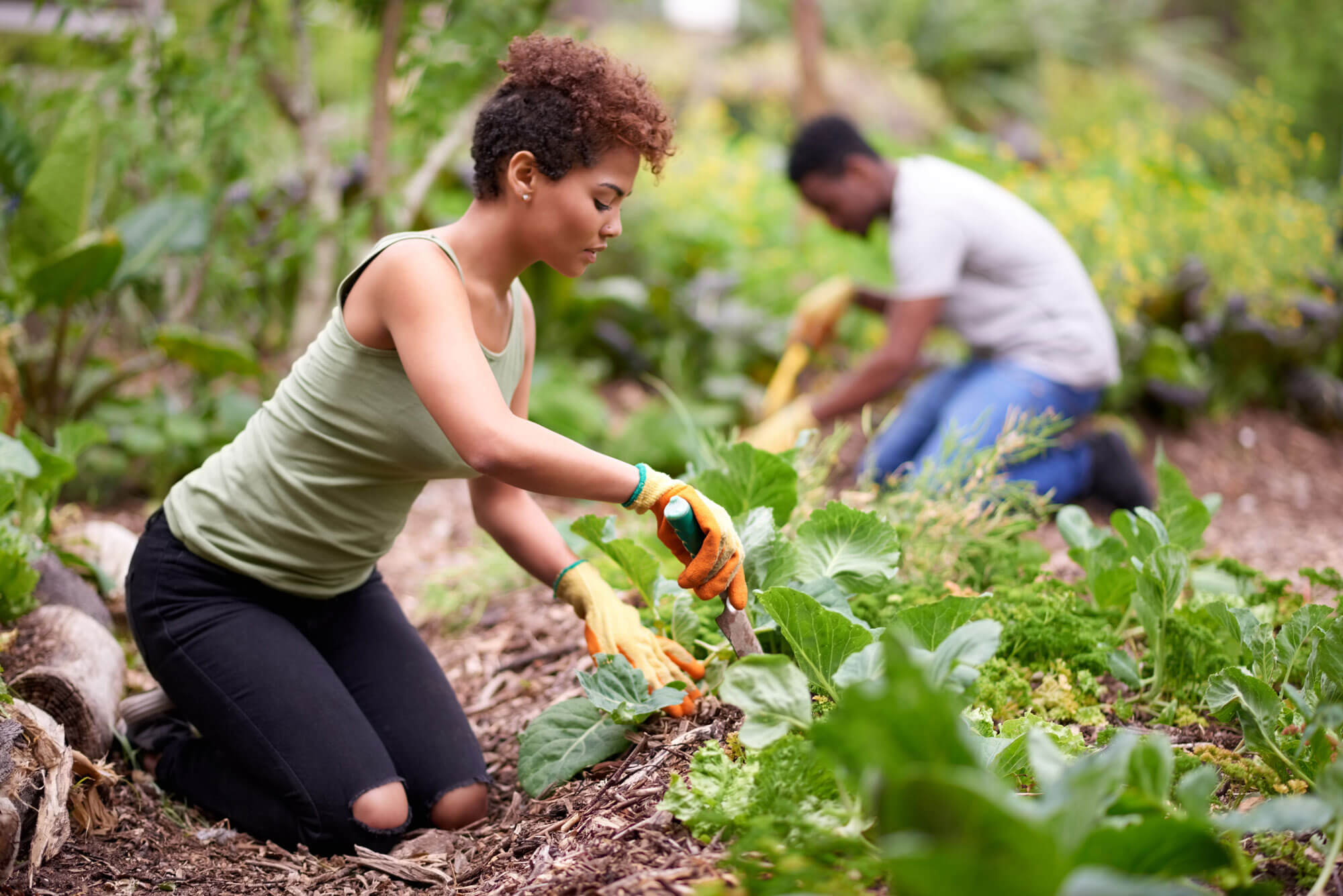 Gardening